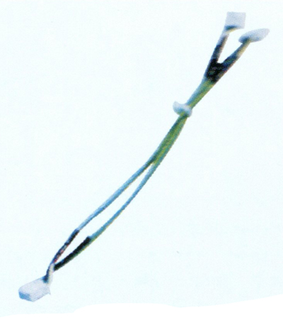 12d.jpg